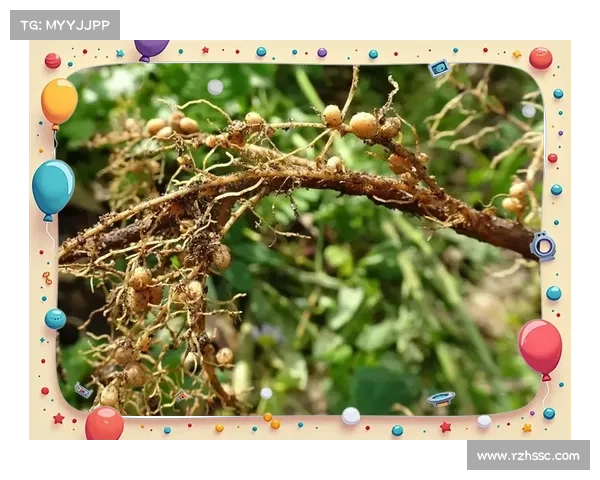 桃园茁壮指南:从发芽到丰收的成长秘诀 桃园茁壮指南:从发芽到丰收的成长秘诀